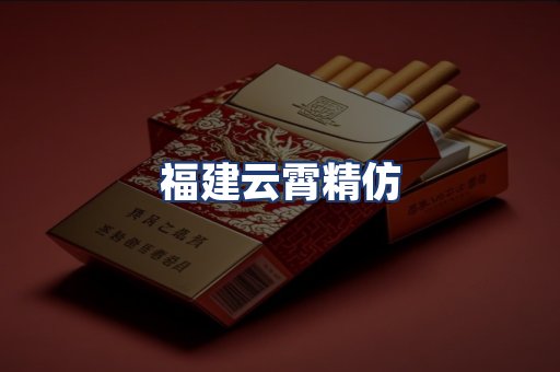 福建云霄精仿